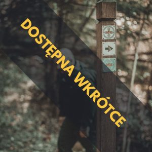 Tyresta – dzień w szwedzkiej naturze (wyprawa + sesja zdjęciowa)